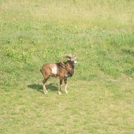 Sarah App 03 Dg L Göhren-Lebbin